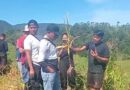 Perusahaan Toba Pulp Lestari Intimidasi Masyarakat Adat Dolok Parmonangan di Tano Batak